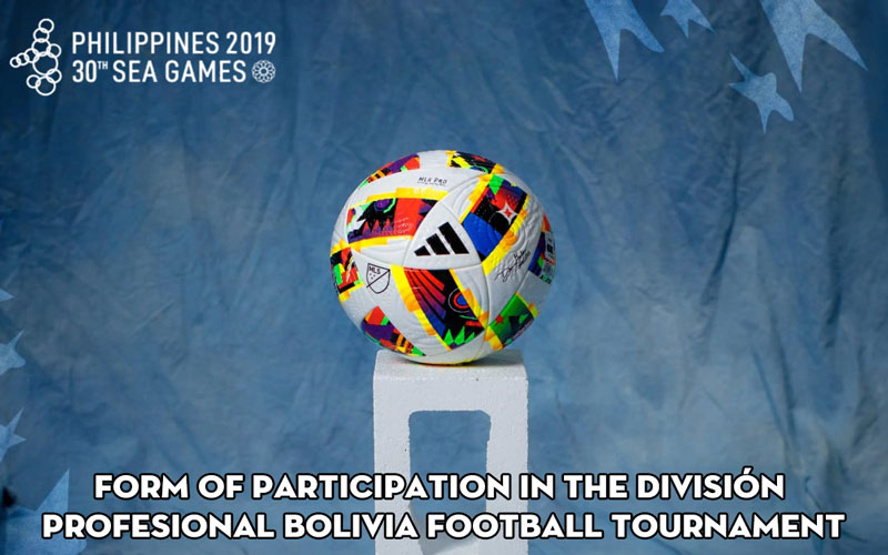 Form of participation in the División Profesional Bolivia football tournament