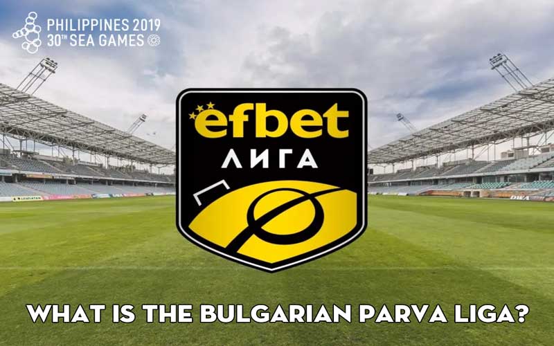 What is the Bulgarian Parva Liga? 14 teams participate in the Parva Liga Bulgaria football tournament