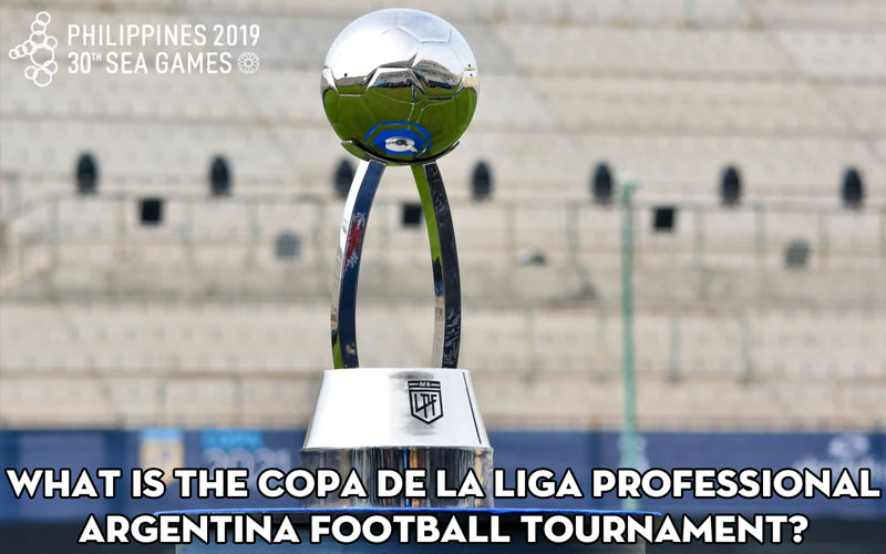 What is the Copa de la Liga Professional Argentina football tournament? Top 24 football clubs in Argentina