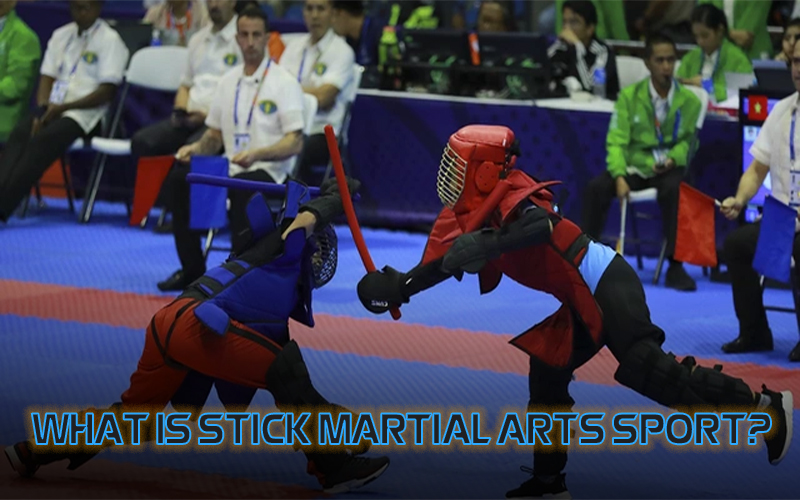 What is stick martial arts sport?