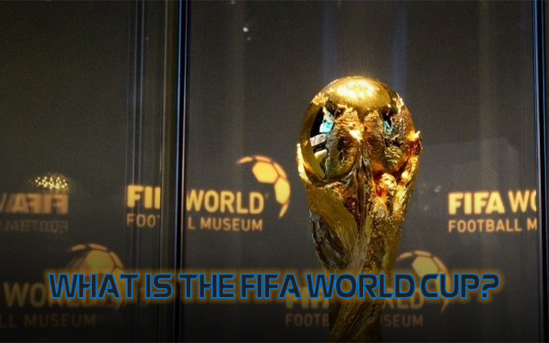 What is The FIFA World Cup